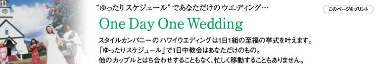 OneDayOneWedding