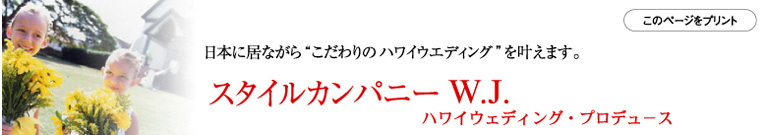 スタイルカンパニーの特長