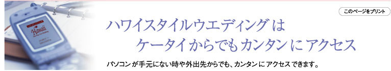 携帯からアクセス.jpg